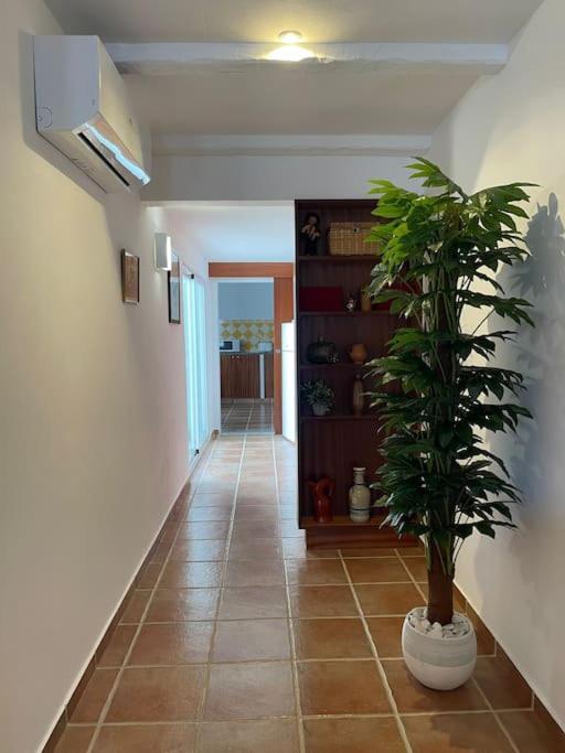 Casa Da Oliveira Villa Mourão Kültér fotó